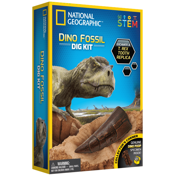 Mega Fossil Dig Kit 15 Pcs National Geographic Dinosaur Bones Shark Teeth Tools 